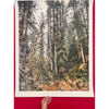 Wilderness