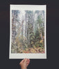 Wilderness