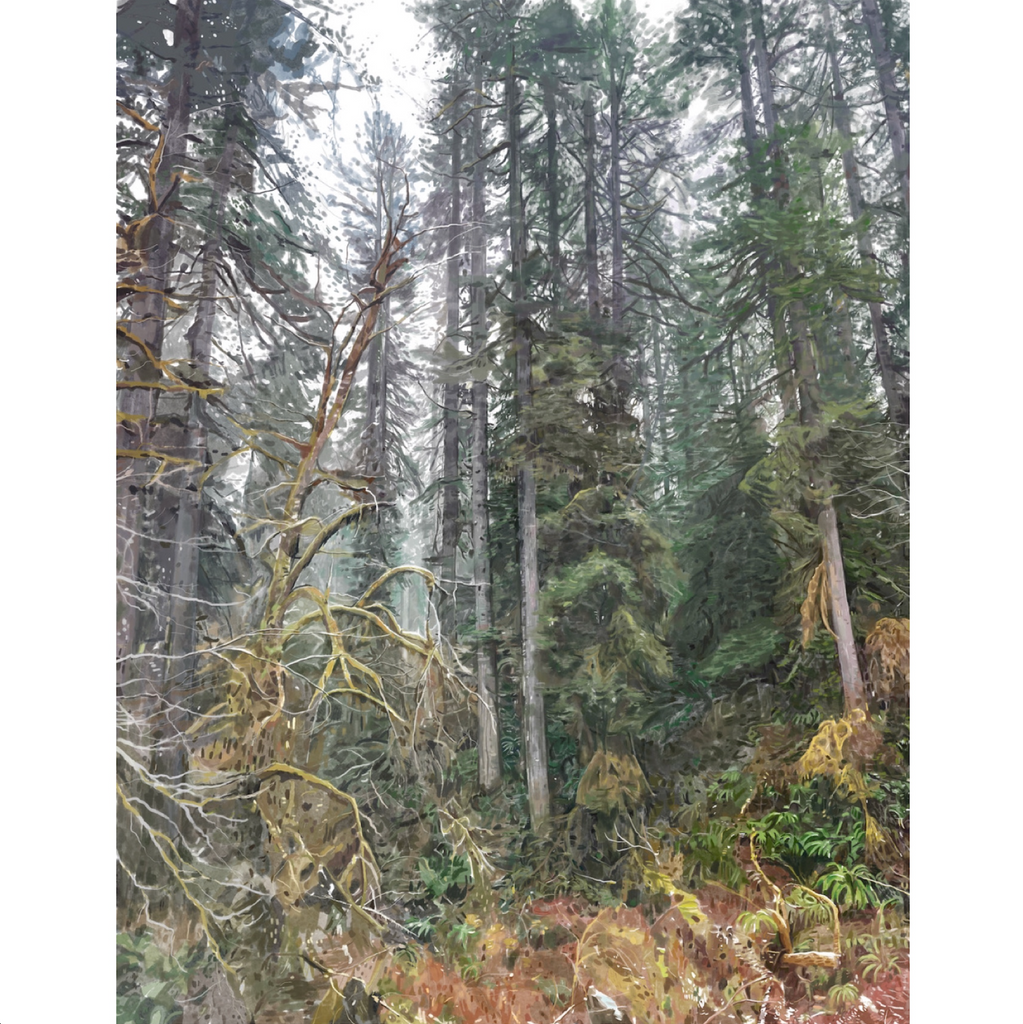 Wilderness