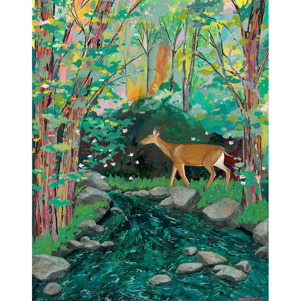 deer by a creek in a forest